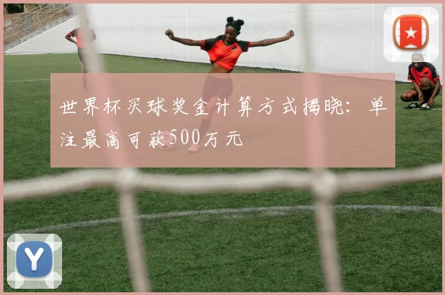 世界杯买球奖金计算方式揭晓:单注最高可获500万元